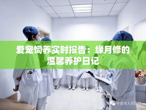 爱宠饲养实时报告:缘月修的温馨养护日记