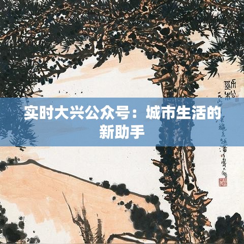 实时大兴公众号:城市生活的新助手