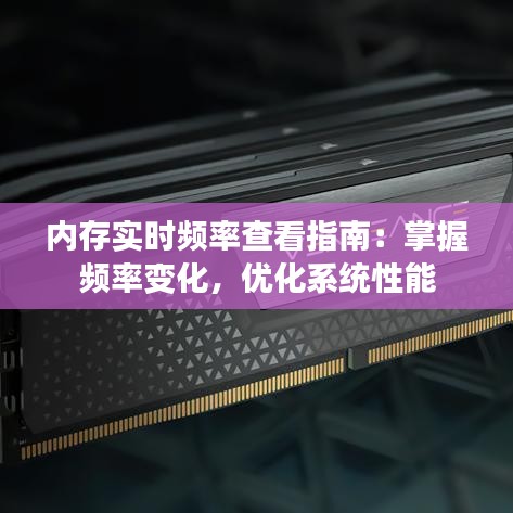 内存实时频率查看指南:掌握频率变化,优化系统性能