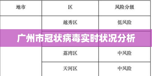 广州市冠状病毒实时状况分析