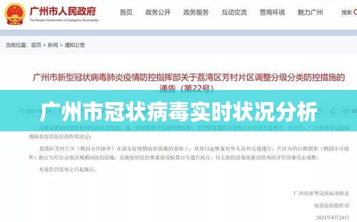 广州市冠状病毒实时状况分析
