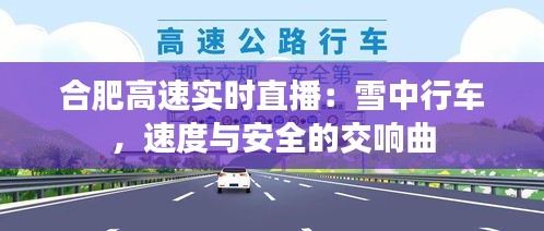 合肥高速实时直播:雪中行车,速度与安全的交响曲