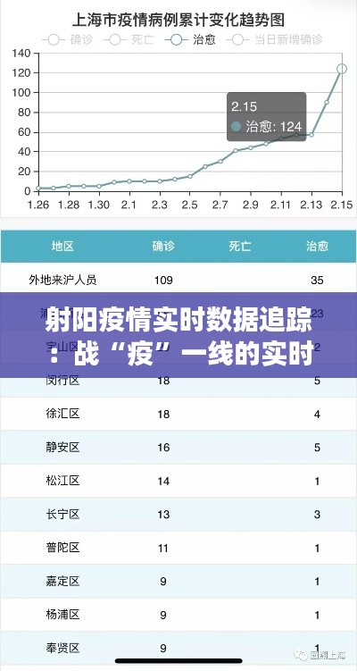 张灯挂彩 第4页