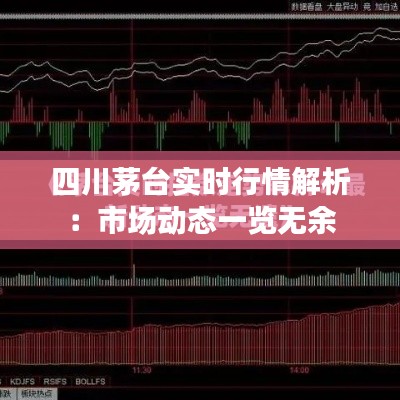 四川茅台实时行情解析:市场动态一览无余