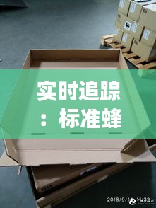 实时追踪:标准蜂窝纸市场动态与价格分析