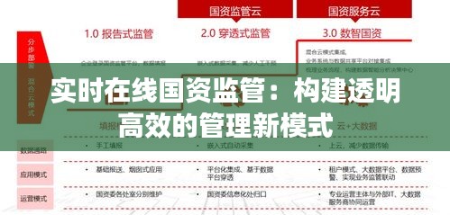 实时在线国资监管:构建透明高效的管理新模式