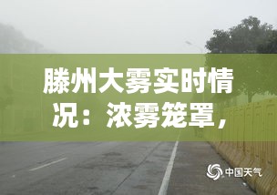长颈鸟喙 第5页