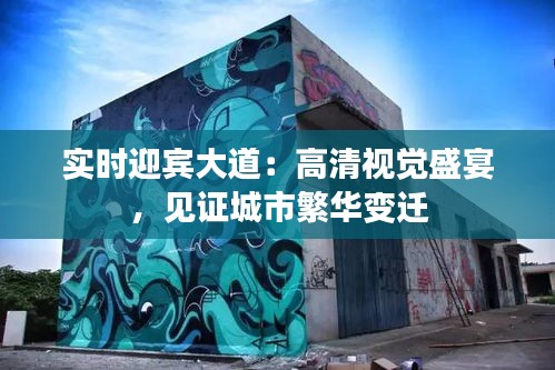 实时迎宾大道:高清视觉盛宴,见证城市繁华变迁
