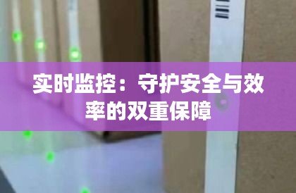 实时监控:守护安全与效率的双重保障