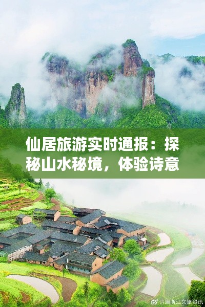 仙居旅游实时通报：探秘山水秘境，体验诗意田园生活