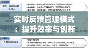实时反馈管理模式:提升效率与创新的关键