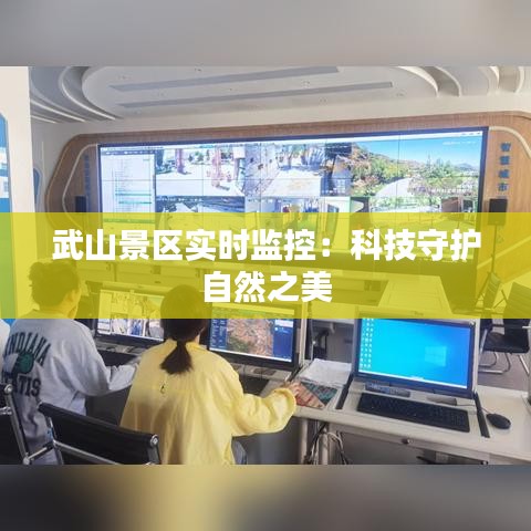 武山景区实时监控:科技守护自然之美