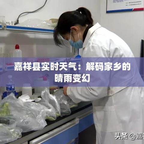 嘉祥县实时天气:解码家乡的晴雨变幻