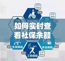 如何实时查看社保余额