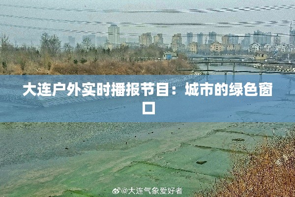 大连户外实时播报节目:城市的绿色窗口