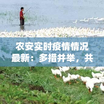 农安实时疫情情况最新:多措并举,共筑防疫屏障