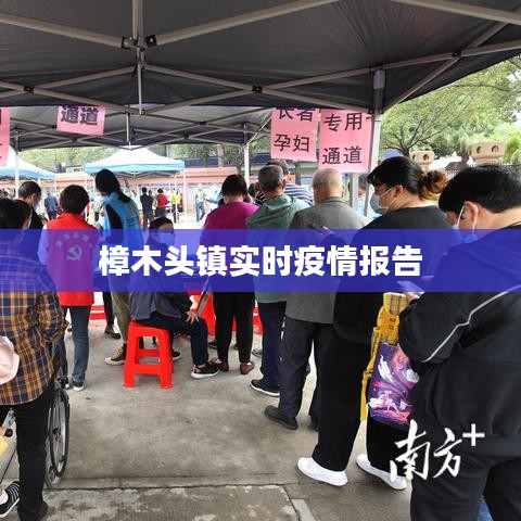 樟木头镇实时疫情报告