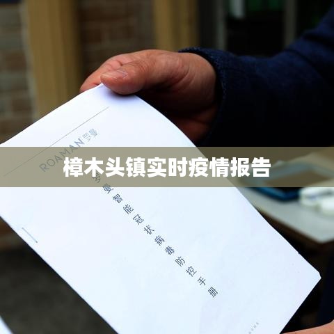 樟木头镇实时疫情报告
