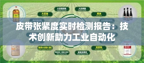 皮带张紧度实时检测报告:技术创新助力工业自动化