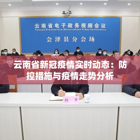 云南省新冠疫情实时动态:防控措施与疫情走势分析