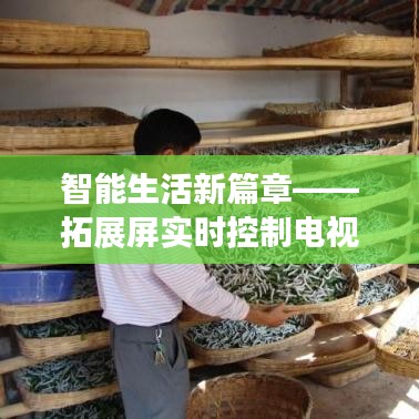 智能生活新篇章——拓展屏实时控制电视的神奇之旅