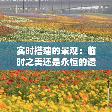 实时搭建的景观:临时之美还是永恒的遗憾?