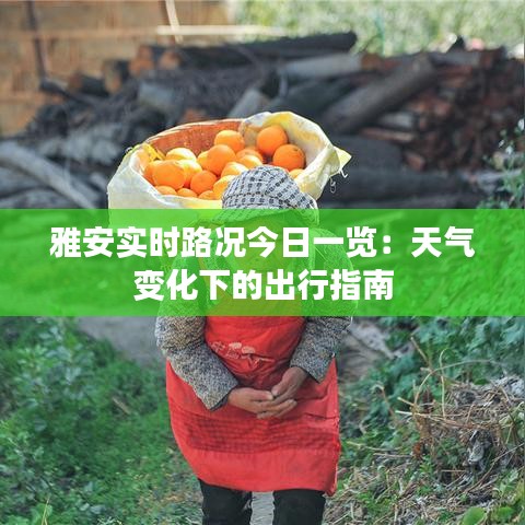 雅安实时路况今日一览:天气变化下的出行指南