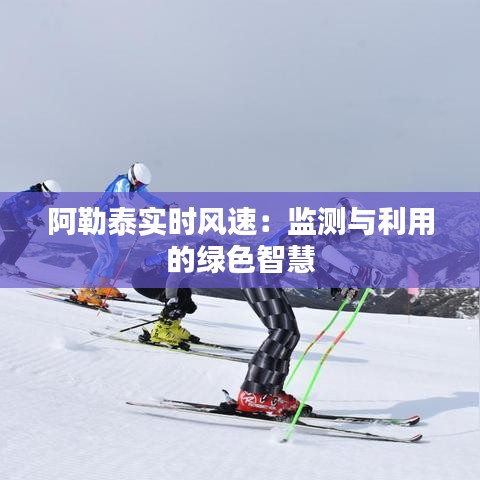 绝无仅有 第5页