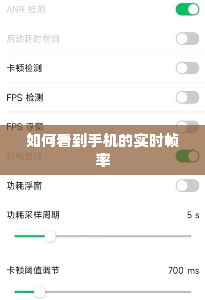 如何看到手机的实时帧率