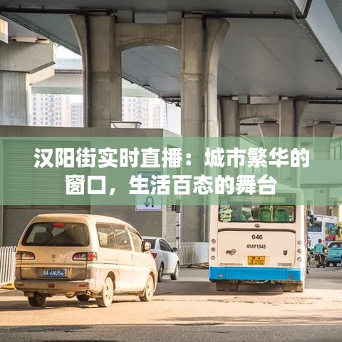汉阳街实时直播:城市繁华的窗口,生活百态的舞台