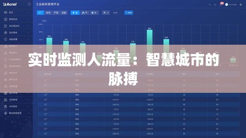 实时监测人流量:智慧城市的脉搏
