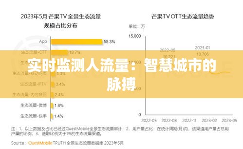 实时监测人流量:智慧城市的脉搏