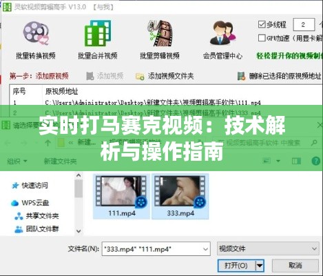 实时打马赛克视频:技术解析与操作指南