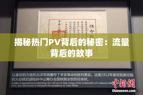 揭秘热门PV背后的秘密:流量背后的故事