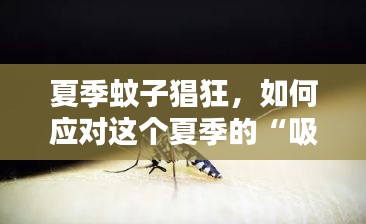 夏季蚊子猖狂,如何应对这个夏季的“吸血鬼”?