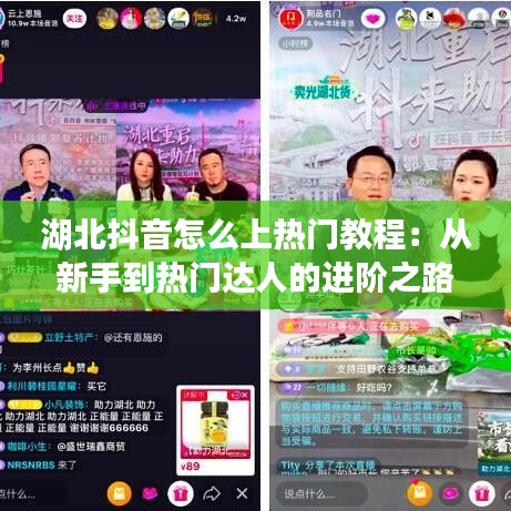 湖北抖音怎么上热门教程:从新手到热门达人的进阶之路