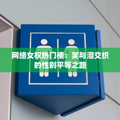网络女权热门梗:笑与泪交织的性别平等之路