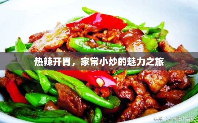 热辣开胃,家常小炒的魅力之旅