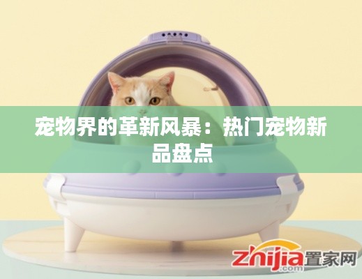 宠物界的革新风暴:热门宠物新品盘点