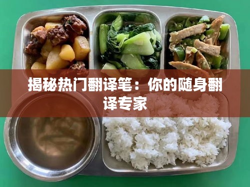 揭秘热门翻译笔:你的随身翻译专家