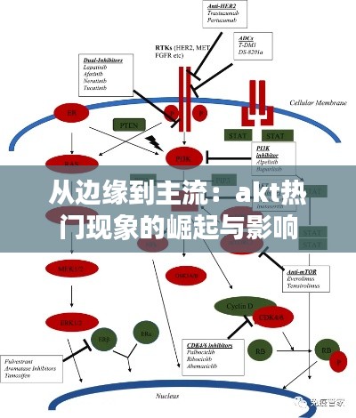 从边缘到主流:akt热门现象的崛起与影响
