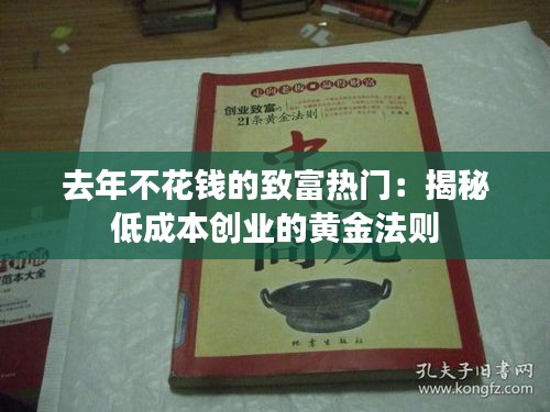 去年不花钱的致富热门:揭秘低成本创业的黄金法则