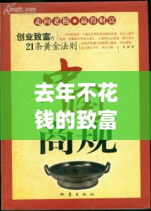 去年不花钱的致富热门:揭秘低成本创业的黄金法则