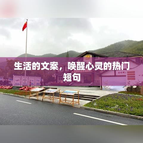 移樽就教 第5页