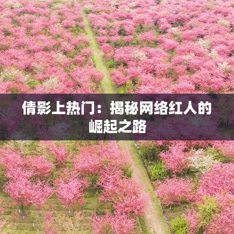 倩影上热门:揭秘网络红人的崛起之路