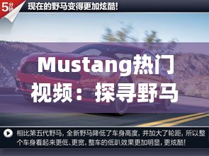 Mustang热门视频:探寻野马精神的现代演绎