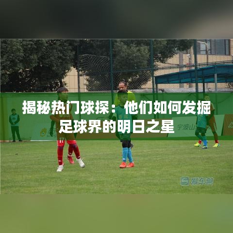 揭秘热门球探:他们如何发掘足球界的明日之星