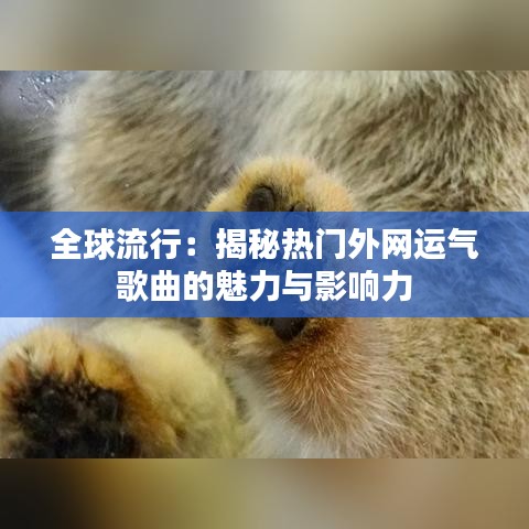 全球流行:揭秘热门外网运气歌曲的魅力与影响力