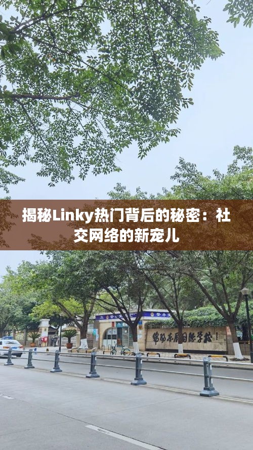 揭秘Linky热门背后的秘密:社交网络的新宠儿