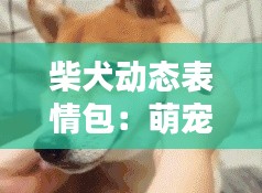 柴犬动态表情包:萌宠界的“网红”新宠